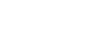protel_w_logo